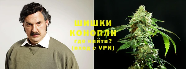 стафф Краснотурьинск