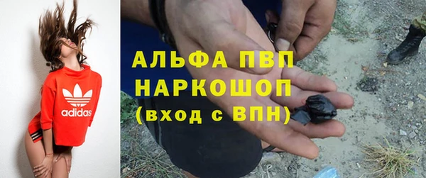 стафф Куйбышев